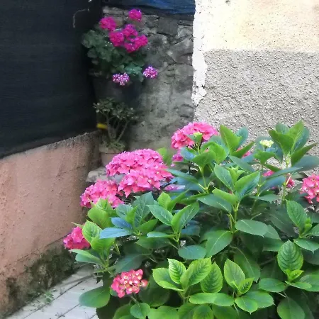 Stella Marina Delle 5 Terre Con Giardino Апартаменты