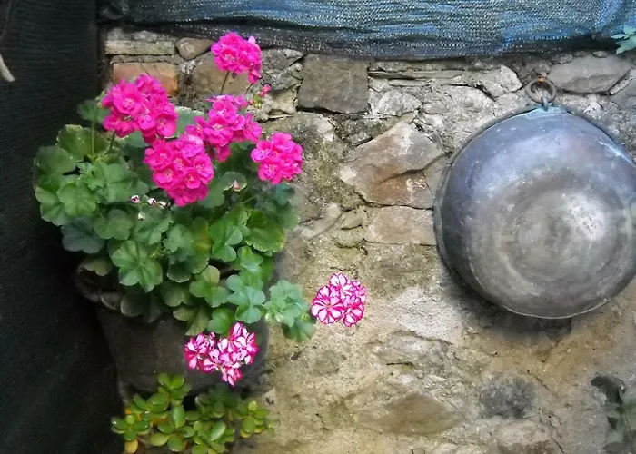 Stella Marina Delle 5 Terre 레반토