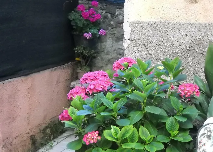 Stella Marina Delle 5 Terre 아파트