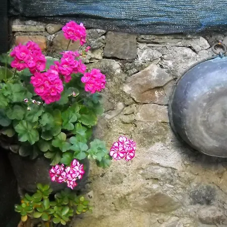 Stella Marina Delle 5 Terre Con Giardino Levanto